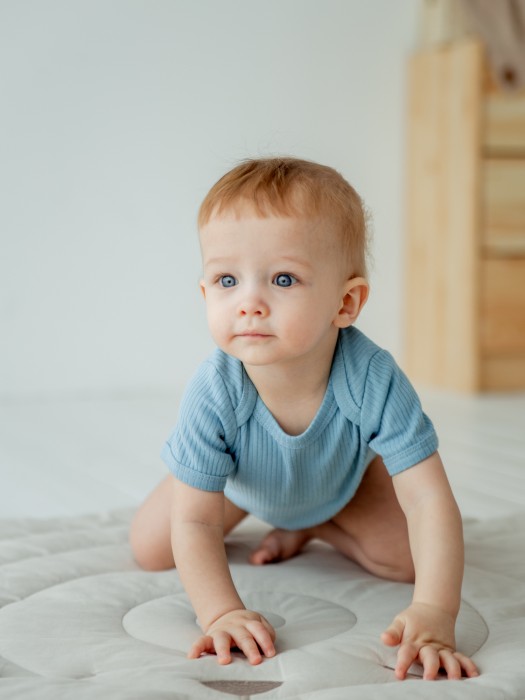 боди с коротким рукавом "деним" из хлопка в рубчик 0+ фотография