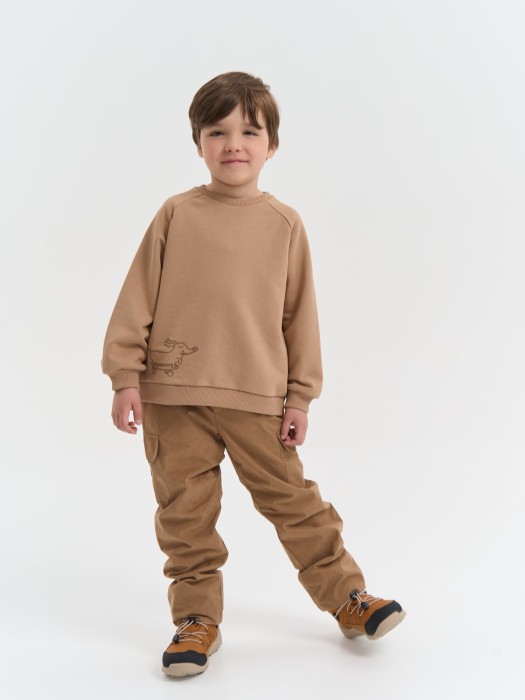 брюки демисезонные "орех" фотография