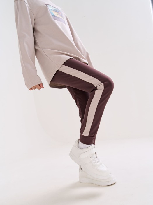 брюки с лампасами "шоколад" из россии вид сбоку