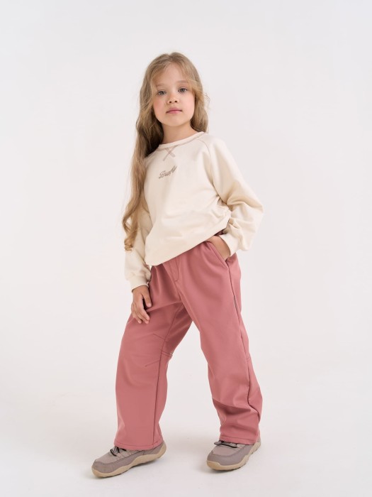 брюки softshell демисезонные "пепельная роза" фотография