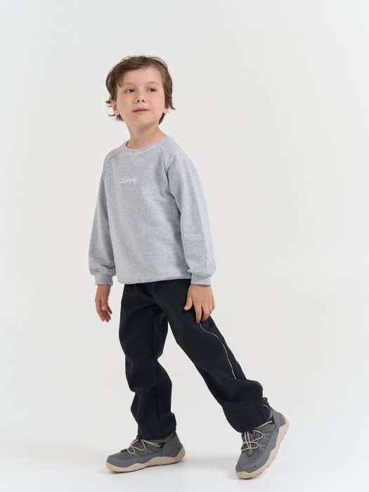 брюки softshell демисезонные "уголь" активного стиля с лицевой стороны