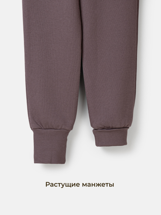джоггеры "темный шоколад" с карманами утепленные по цене 1469 руб вид справа