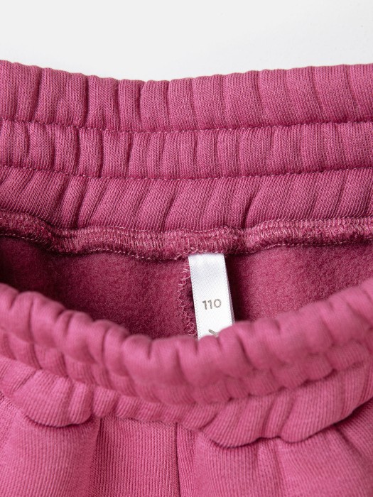 джоггеры "ультрафиолет" утепленные по цене 2399 руб вид справа