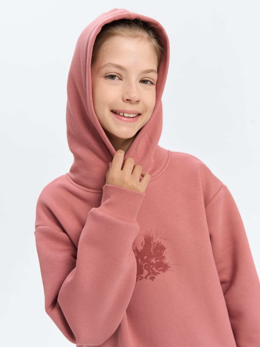 худи "пепельная роза" с принтом утепленное 7+ по цене 3199 руб вид справа