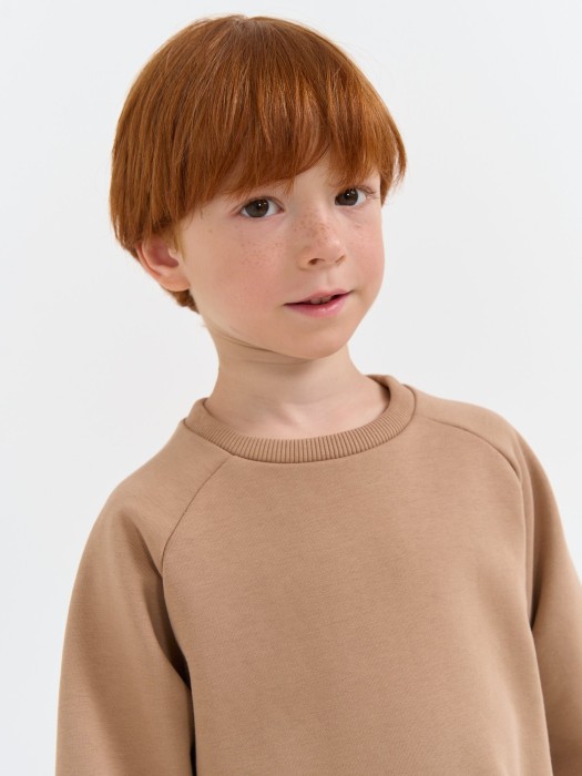 свитшот "песок" с вышивкой утепленный без начеса из проверенных материалов спереди