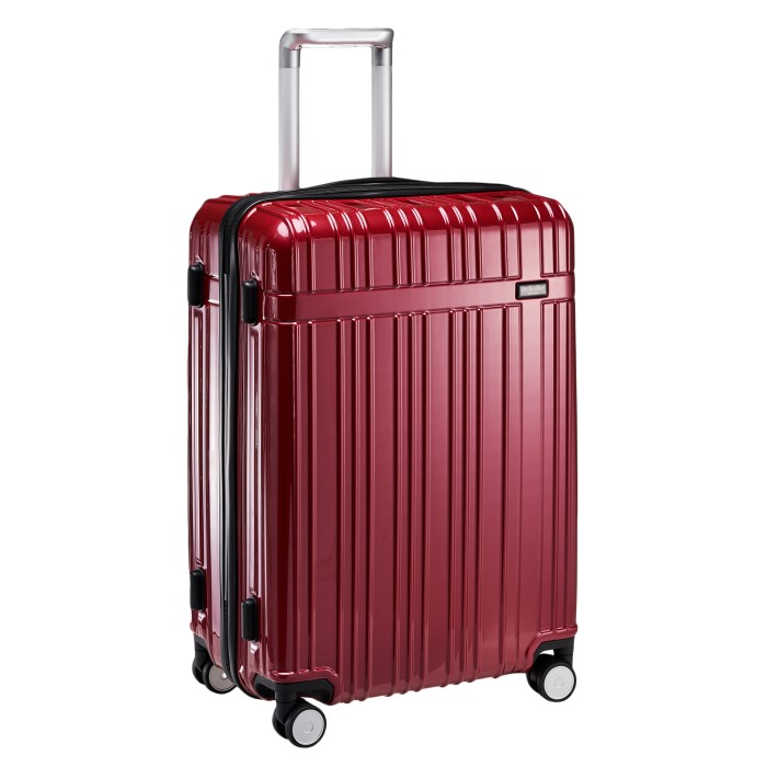 l101tc24-250-12 чемодан L101TC24-250-12 фотография