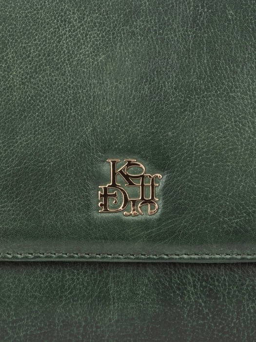 w620150-244-65 сумка женская из кожи спереди