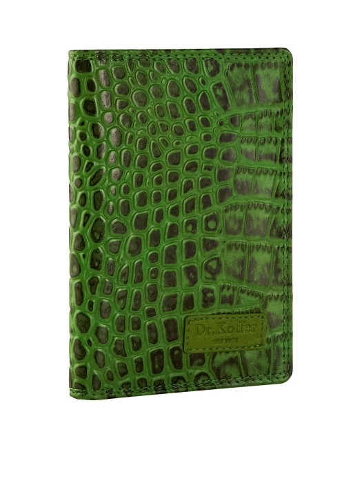 x510390-49-71 обложка для документов X510390-49-71 фотография