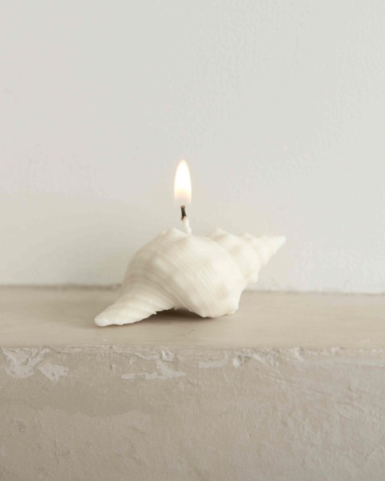 свеча «ракушка рог тритона», пчелиный воск, 10×5 см фотография