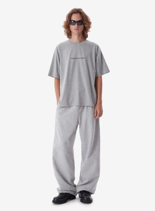 футболка attitude era grey melange фотография