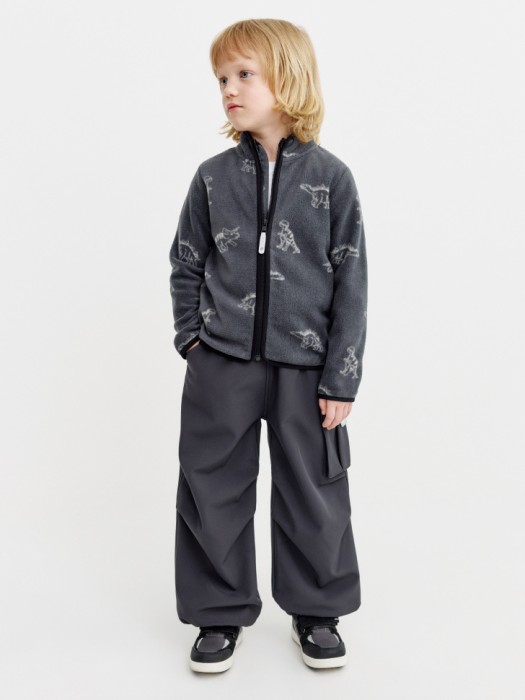 брюки-парашюты из softshell на флисе для мальчиков 4640611047597 фотография