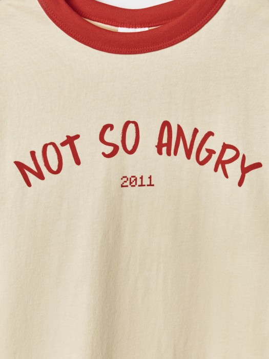 футболка для мальчиков из коллекции art people с angry brothers 11 из хлопка спереди