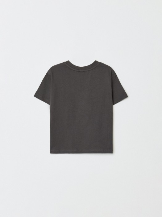 Товар с артикулом 4610517330253 вид сзади