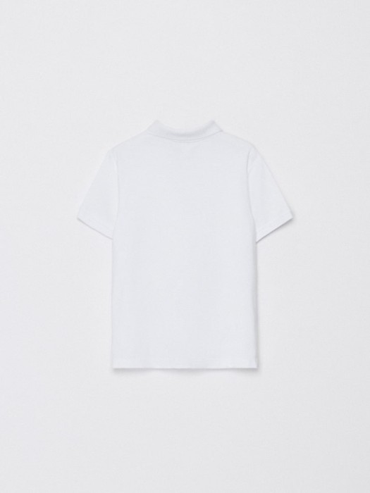 набор из 2 базовых футболок поло для мальчиков из россии вид сбоку