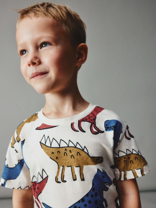 набор из 2 футболок для мальчиков 4680704502190 фотография