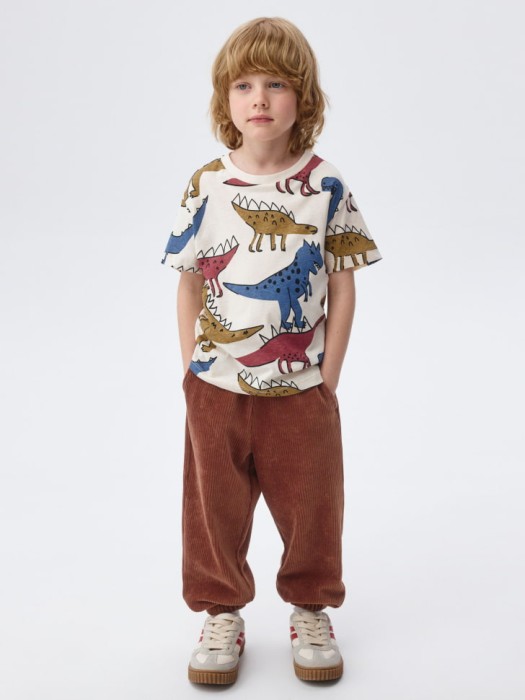 набор из 2 футболок для мальчиков из россии вид сбоку