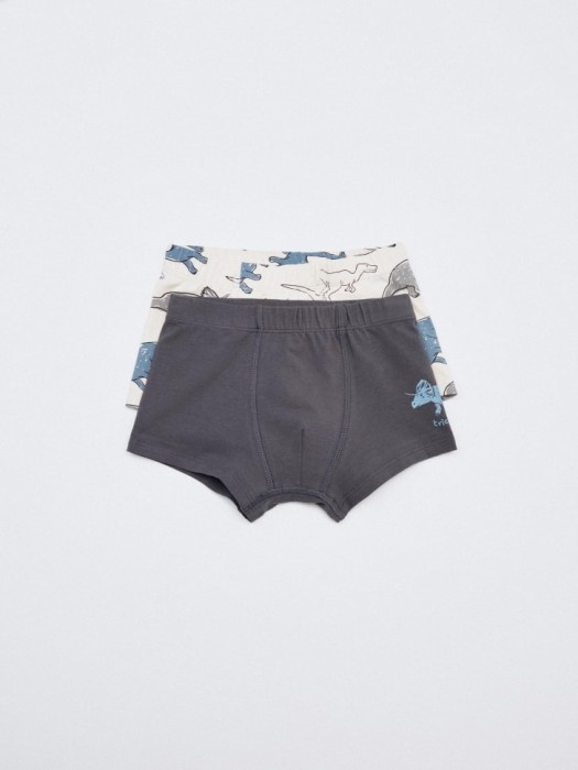 набор из 2 трусов-боксеров для мальчиков 4680798341231 фотография