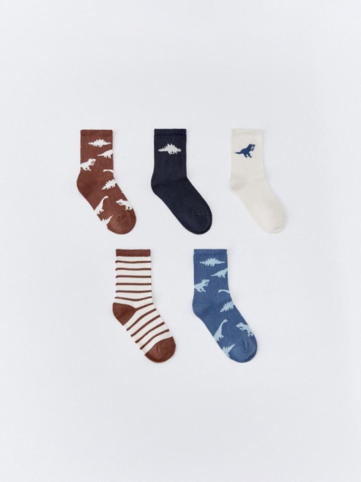 набор из 5 пар носков для мальчиков 4680798253077 фотография