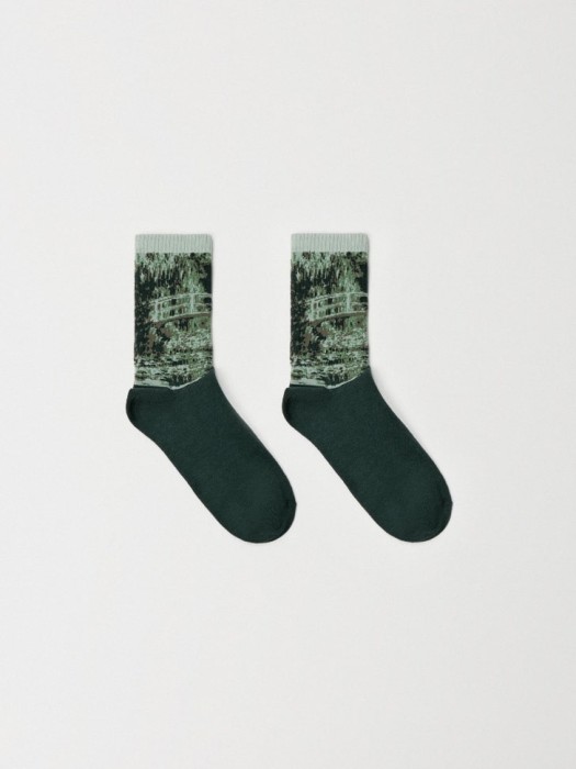 носки с принтом по мотивам картины клода моне 4680704710212 фотография
