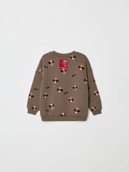 свитшот для мальчиков с принтом  x смешарики из россии вид сбоку