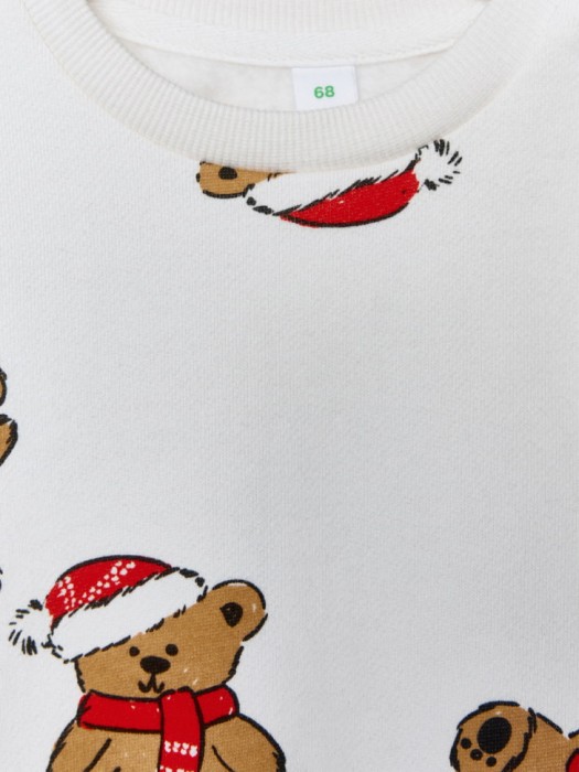 свитшот из футера с начесом для малышей из россии вид сбоку