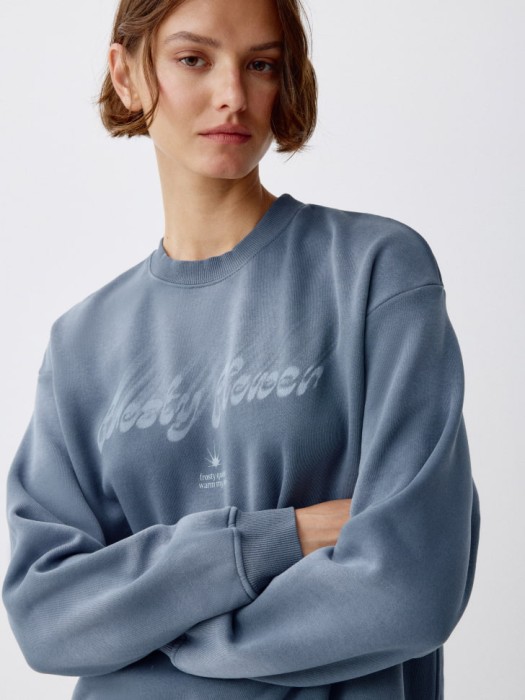 свитшот оверсайз с принтом 4680168963254 фотография