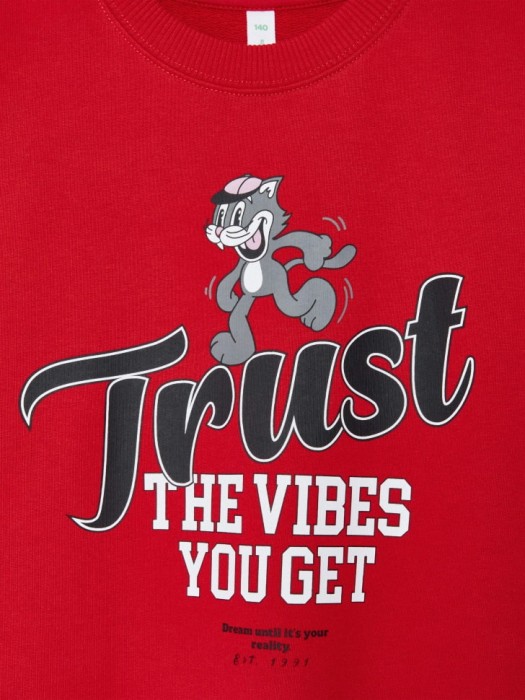 свитшот с принтом для девочек по цене 1199 руб вид справа