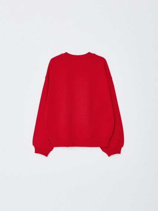 свитшот с принтом для девочек из россии вид сбоку