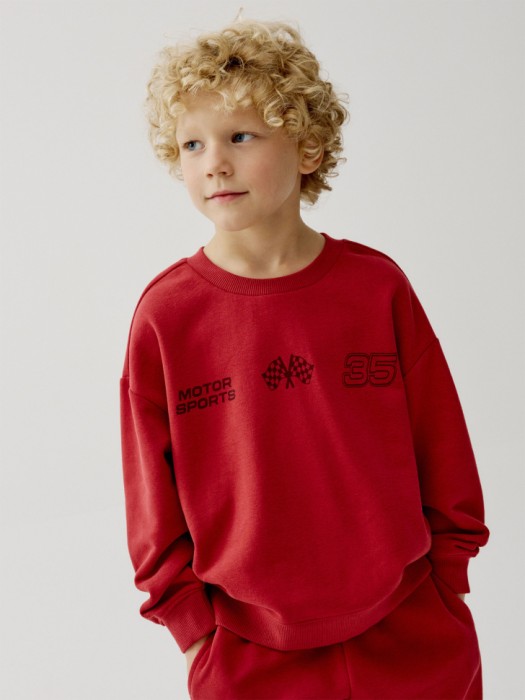 свитшот с принтом для мальчиков 4610517664389 фотография