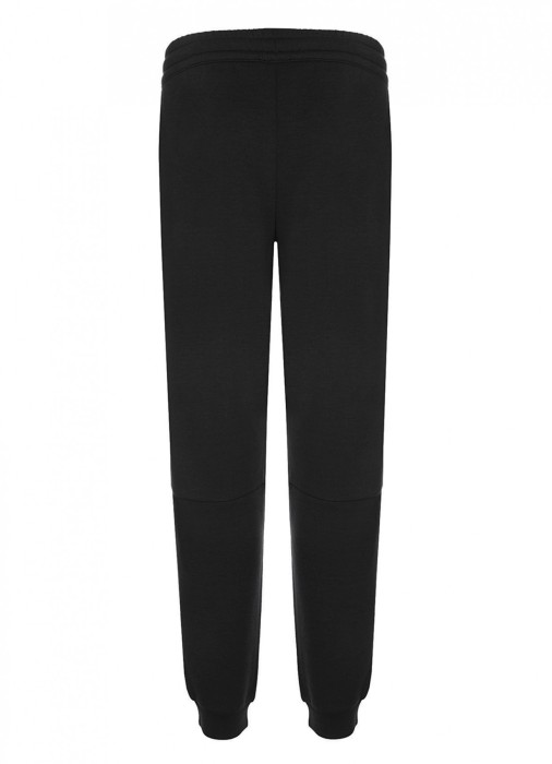 брюки мужские shield ea7 из проверенных материалов спереди