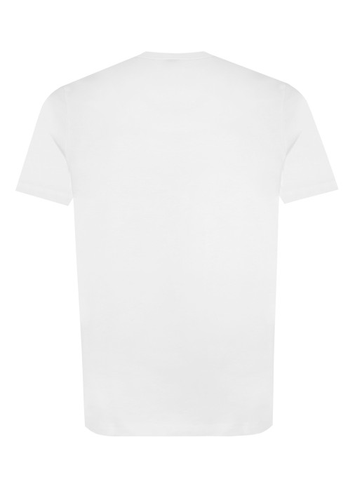 футболка мужская te_container  из хлопка спереди