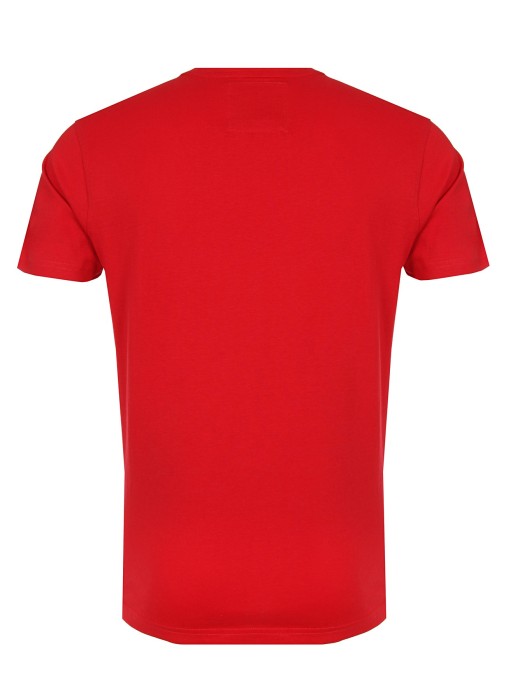 футболка мужская  из хлопка спереди