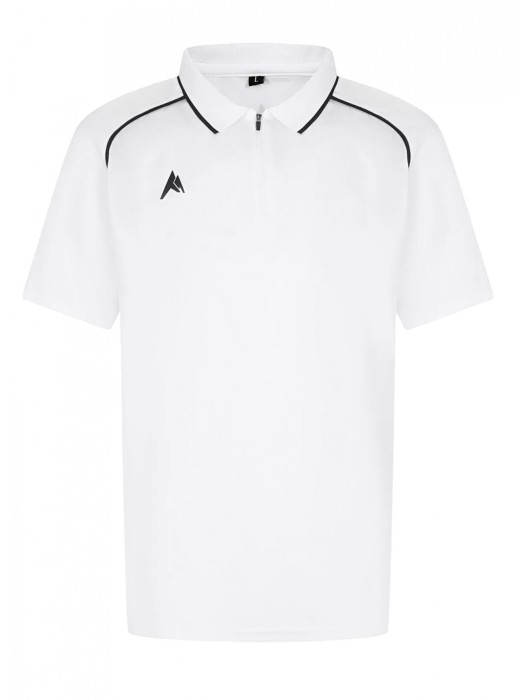 поло мужское  MPS20 фотография