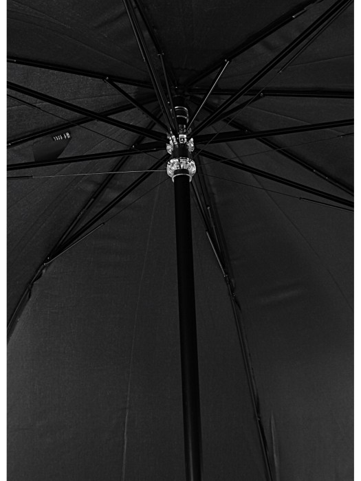 зонт-трость kompliment  от бренда euroschirm вид слева