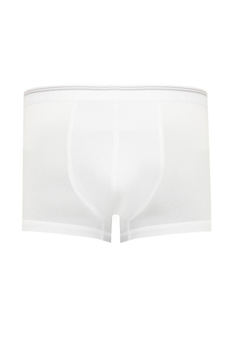 боксеры  900053 BOXER 500 фотография