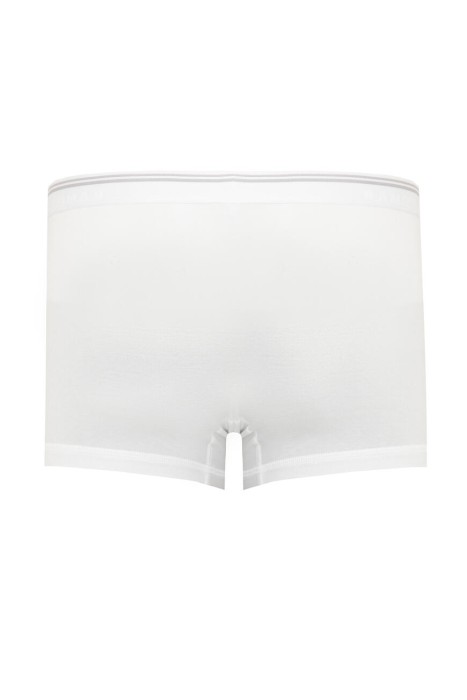 боксеры  по цене 1600 руб вид справа