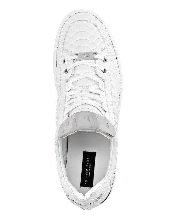 Товар с артикулом PAAS-MSC3179-PLE029P_01 вид сзади