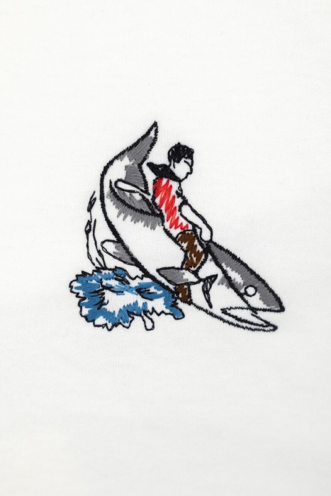 футболка  на сезон этого года фотография