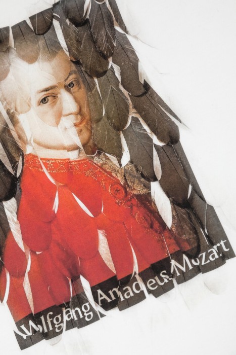 футболка  для взрослого возраста с изнаночной стороны