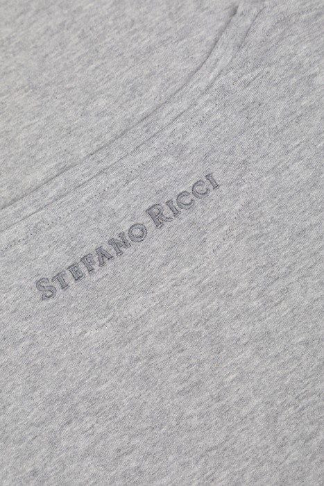 футболка  на сезон этого года фотография