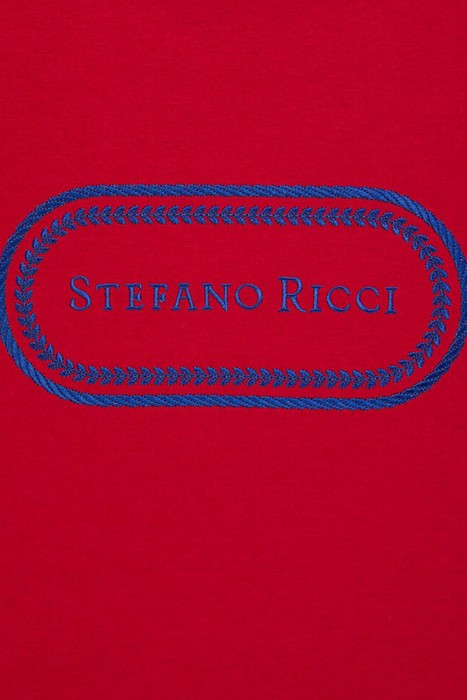 футболка  из англии вид сбоку