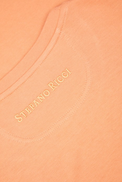 футболка  на сезон этого года фотография