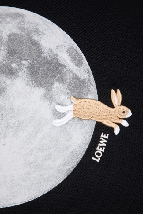 худи  для взрослого возраста с изнаночной стороны