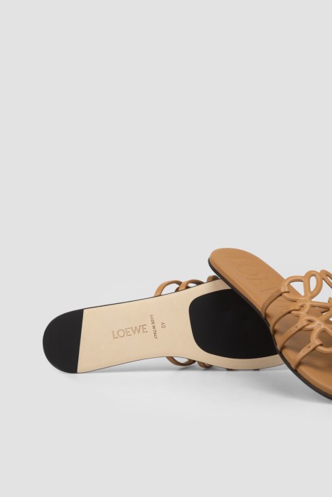 шлепанцы  модель petal anagram универсального стиля с лицевой стороны