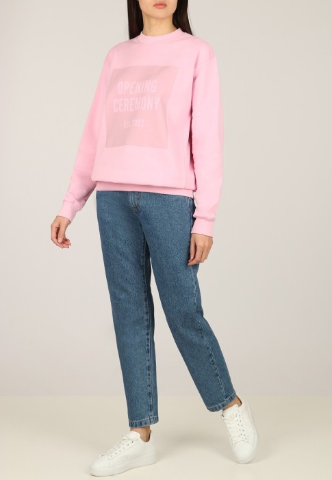 свитшот  по цене 17430 руб вид справа