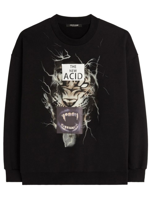 свитшот  NNT67E CF060 фотография