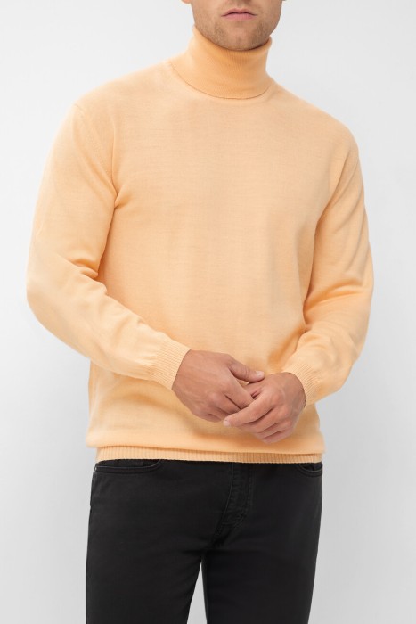 водолазка  B348 фотография