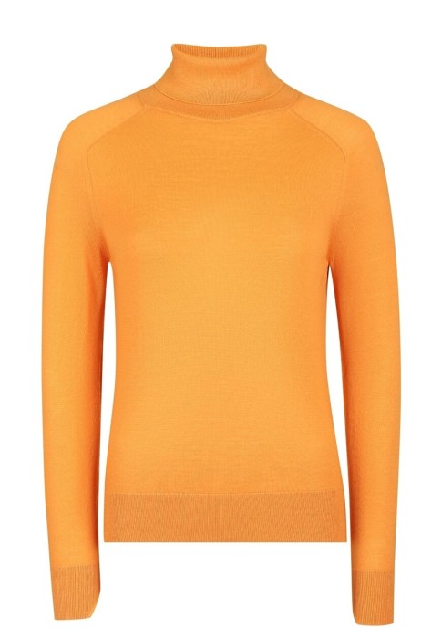 водолазка  D415M341ATL фотография