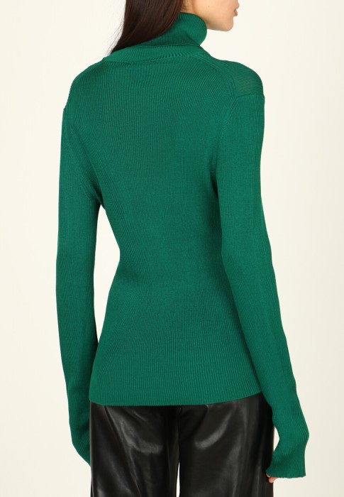 водолазка  из америки вид сбоку