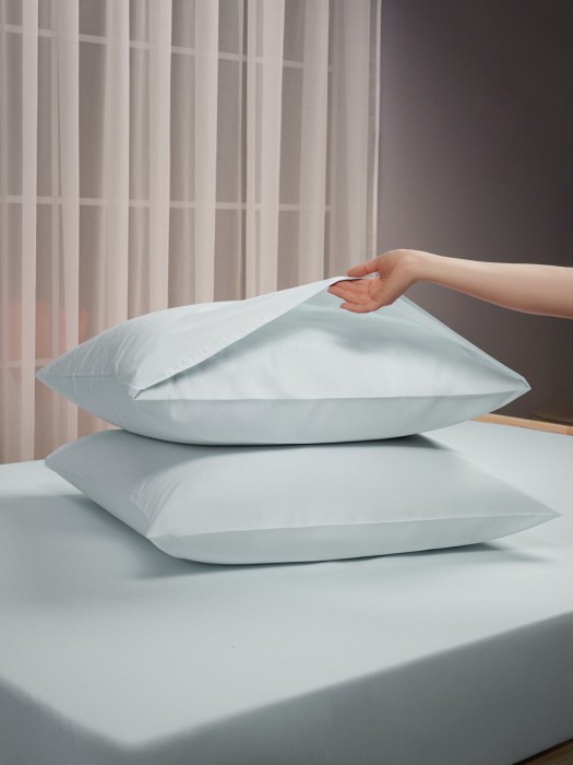 наволочка сакенди (70х70 (2 шт)) dme1004650 фотография